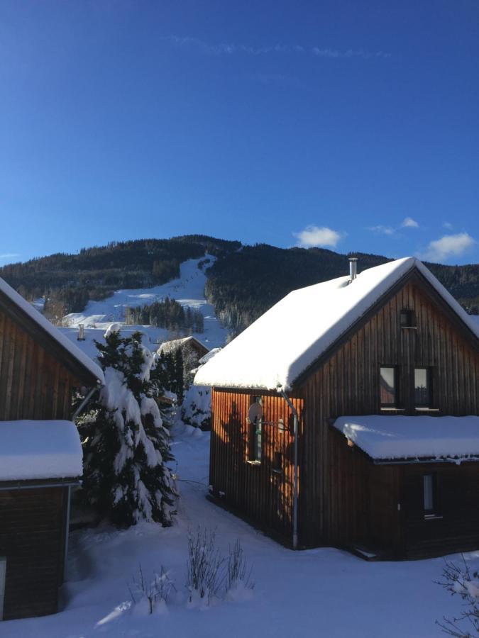 Alpenferienhaus Kreischberg Санкт Лоренцен об Мурау Екстериор снимка