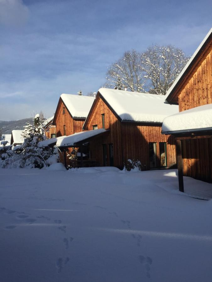 Alpenferienhaus Kreischberg Санкт Лоренцен об Мурау Екстериор снимка