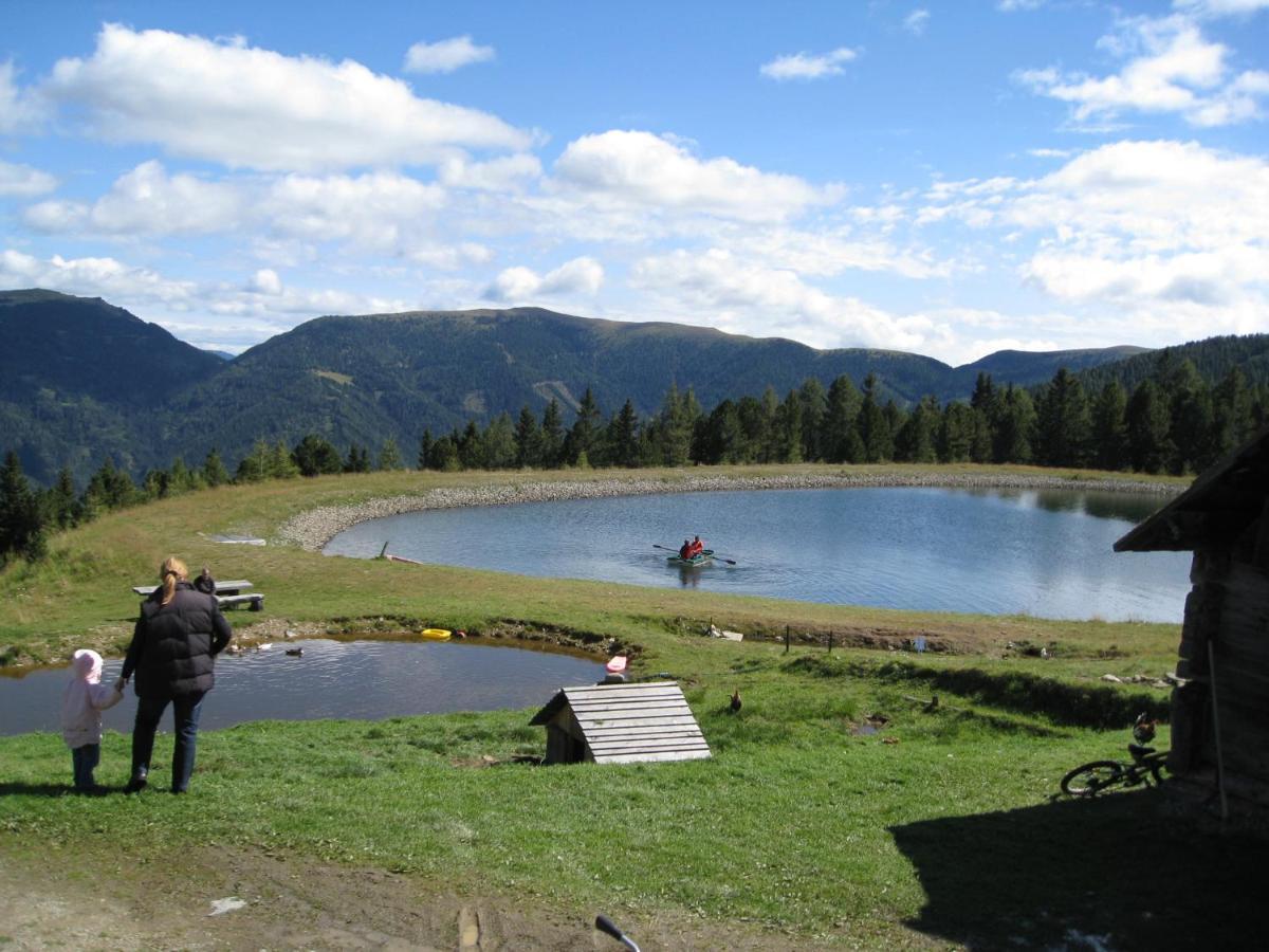 Alpenferienhaus Kreischberg Санкт Лоренцен об Мурау Екстериор снимка