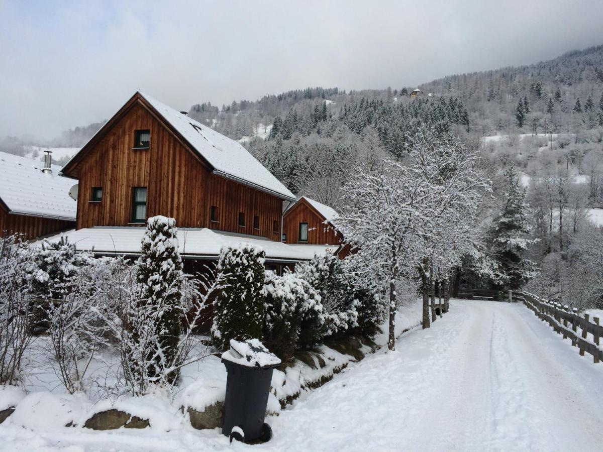 Alpenferienhaus Kreischberg Санкт Лоренцен об Мурау Екстериор снимка