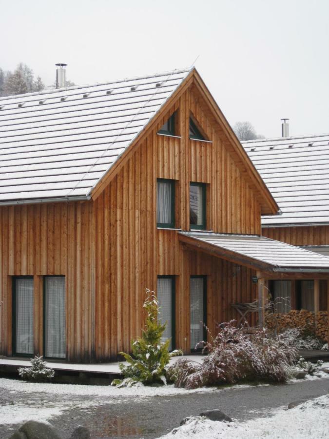 Alpenferienhaus Kreischberg Санкт Лоренцен об Мурау Екстериор снимка